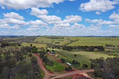 Other (Rural) For Sale - QLD - Ventnor - 4630 - North Burnett Fattening Country  (Image 2)