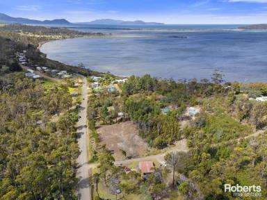 Residential Block For Sale - TAS - Boomer Bay - 7177 - Lots 11, 12 & 13 Bay Road, Boomer Bay  (Image 2)