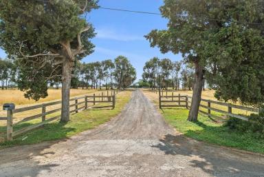 Lifestyle For Sale - VIC - Fyansford - 3218 - Historic "Petriwilda"  (Image 2)