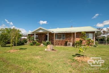 House For Sale - NSW - Glen Innes - 2370 - A Spacious Country property with Potential!  (Image 2)