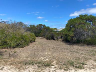 Residential Block For Sale - SA - Baudin Beach - 5222 - Affordable coastal block (938m2) in peaceful Baudin Beach (Kangaroo Island), just 130 m from crystal clear waters and boat ramp.  (Image 2)