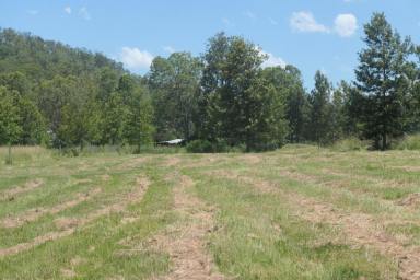 Residential Block Sold - NSW - Tabulam - 2469 - TRANQUIL RURAL VIEWS - 3 BLOCKS AVAILABLE  (Image 2)