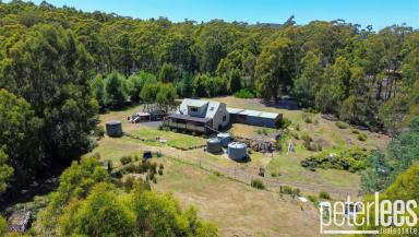 House For Sale - TAS - Turners Marsh - 7267 - Your New Neck of the Woods  (Image 2)