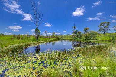 Livestock For Sale - QLD - Rosedale - 4674 - REGISTERED FEEDLOT ON 550 ACRES  (Image 2)