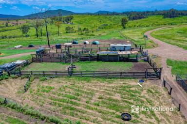 Livestock For Sale - QLD - Rosedale - 4674 - REGISTERED FEEDLOT ON 550 ACRES  (Image 2)