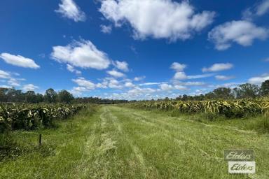 Residential Block For Sale - QLD - Munna Creek - 4570 - RURAL LIFESTYLE WITH PRIME FARMING POTENTIAL  (Image 2)