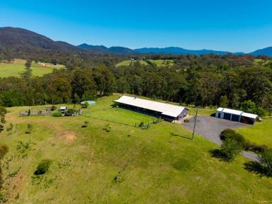 Acreage/Semi-rural For Sale - NSW - Brogo - 2550 - RURAL PARADISE!  (Image 2)