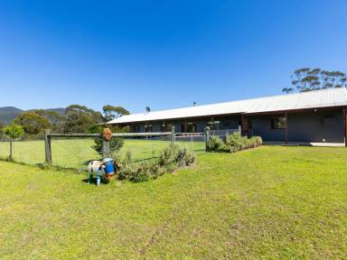 Acreage/Semi-rural For Sale - NSW - Brogo - 2550 - RURAL PARADISE!  (Image 2)