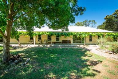 Mixed Farming Auction - NSW - Burrumbuttock - 2642 - “Complete Small Farm with Outstanding Subdivisional Fencing for Ease of Management – a True One-Man Operation.”  (Image 2)