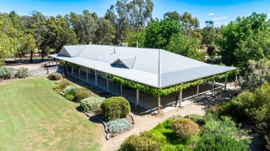 Mixed Farming For Sale - NSW - Burrumbuttock - 2642 - “Complete Small Farm with Outstanding Subdivisional Fencing for Ease of Management – a True One-Man Operation.”  (Image 2)