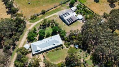 Mixed Farming Auction - NSW - Burrumbuttock - 2642 - “Complete Small Farm with Outstanding Subdivisional Fencing for Ease of Management – a True One-Man Operation.”  (Image 2)