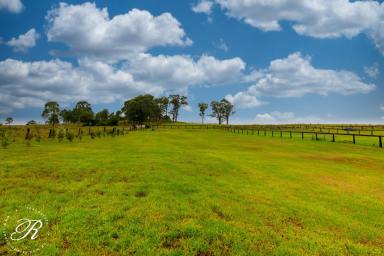 Residential Block For Sale - NSW - Stroud - 2425 - Build Your Custom Home  (Image 2)