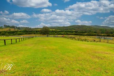 Residential Block For Sale - NSW - Stroud - 2425 - Build Your Custom Home  (Image 2)