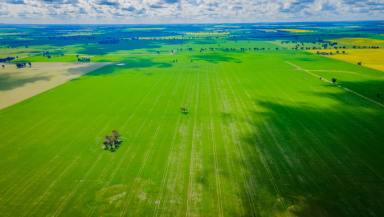 Mixed Farming For Sale - NSW - Coolamon - 2701 - READY TO GO  (Image 2)