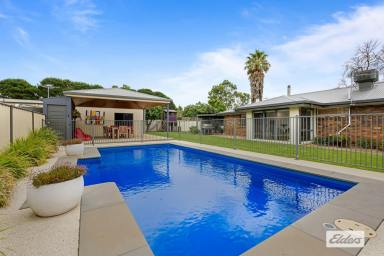 House For Sale - VIC - Great Western - 3374 - Your Private Resort-Style Oasis in the Heart of Great Western  (Image 2)