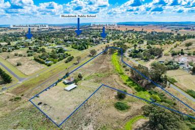 Lifestyle For Sale - NSW - Woodstock - 2793 - Hobby farm opportunity on 9.36Acres*!  (Image 2)