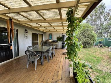 House For Sale - NSW - Inverell - 2360 - Serene Acreage  (Image 2)