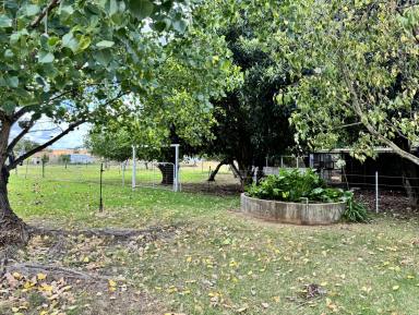 House For Sale - NSW - Inverell - 2360 - Serene Acreage  (Image 2)