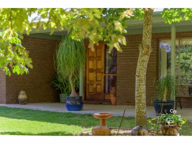 Acreage/Semi-rural For Sale - SA - Lenswood - 5240 - A lifestyle in the hills is calling  (Image 2)