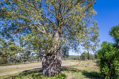 Lifestyle For Sale - QLD - Hivesville - 4612 - Rare Small Acreage Lifestyle Opportunity  (Image 2)