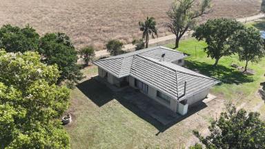 Acreage/Semi-rural Auction - NSW - Moree - 2400 - "Tamerine" Moree  (Image 2)