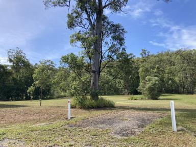 Residential Block For Sale - QLD - Cardwell - 4849 - This could be your new outlook on life - Build your dream rural retreat here!  (Image 2)