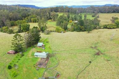 Mixed Farming For Sale - NSW - Wadeville - 2474 - PICTURE PERFECT PROPERTY  (Image 2)