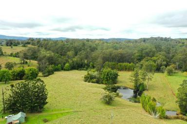 Mixed Farming For Sale - NSW - Wadeville - 2474 - PICTURE PERFECT PROPERTY  (Image 2)