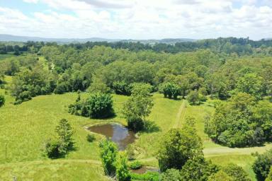 Mixed Farming For Sale - NSW - Wadeville - 2474 - PICTURE PERFECT PROPERTY  (Image 2)