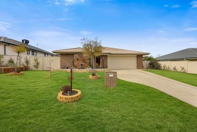 House For Lease - NSW - Tamworth - 2340 - LARGE FAMILY HOME NORTH TAMWORTH  (Image 2)