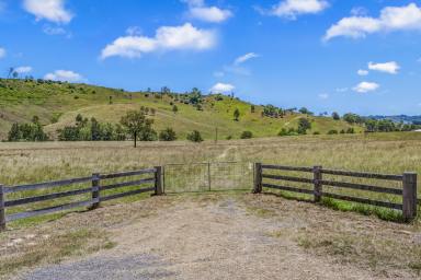 Lifestyle For Sale - NSW - Singleton - 2330 - Exceptional Lifestyle Property - The Perfect Blank Canvas  (Image 2)