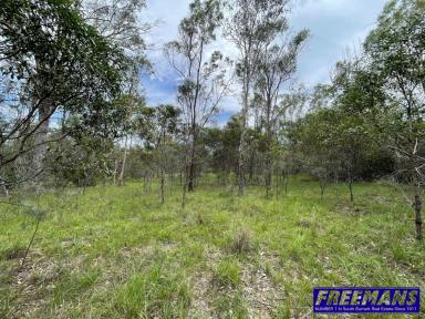 Residential Block For Sale - QLD - Sandy Ridges - 4615 - Great 5 Acre Lifestyle Block  (Image 2)