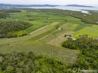 Cropping For Sale - QLD - Habana - 4740 - Coastal Canefarm with 2 Titles!  (Image 2)