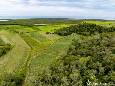 Cropping Auction - QLD - Habana - 4740 - Coastal Cane Farm with 2 Titles!  (Image 2)