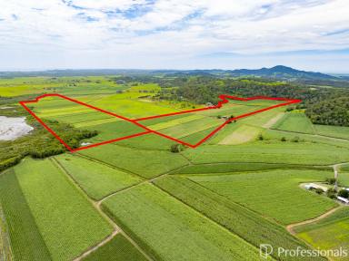 Cropping For Sale - QLD - Habana - 4740 - Coastal Canefarm with 2 Titles!  (Image 2)