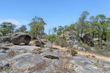 House For Sale - WA - Darlington - 6070 - "Winterbrook" - 15 Acre Private & Peaceful Wilderness 30 Minutes From Perth  (Image 2)