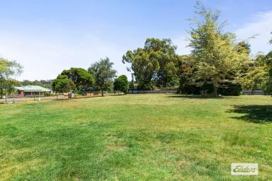 Residential Block For Sale - TAS - West Ulverstone - 7315 - BUILDING BLOCK IN A SEMI-RURAL SETTING  (Image 2)