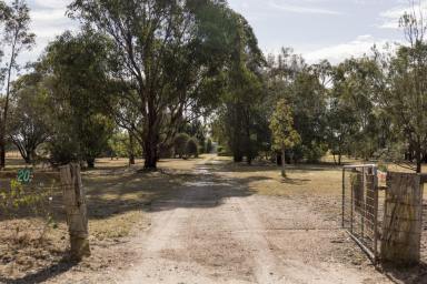 Lifestyle For Sale - VIC - Lindenow South - 3875 - Country Charm on 74 Acres  (Image 2)