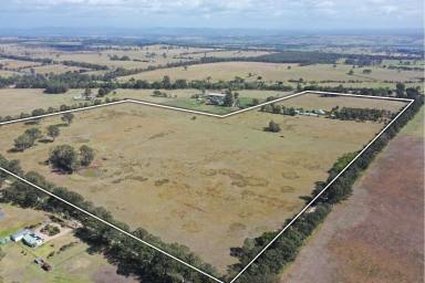 Lifestyle For Sale - VIC - Lindenow South - 3875 - Country Charm on 74 Acres  (Image 2)