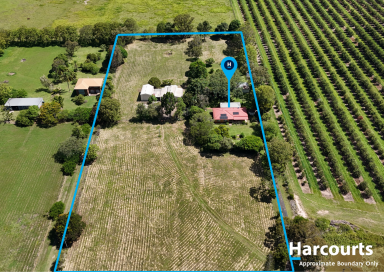 House For Sale - QLD - Sharon - 4670 - Acreage living minutes to town  Multiple large sheds with high clearance and hoist!  (Image 2)