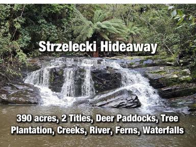 Mixed Farming For Sale - VIC - Grand Ridge - 3870 - 390 acres, House, Pasture, Plantation, Deer, Ferns, Waterfalls...  (Image 2)