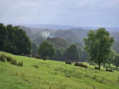 Mixed Farming For Sale - VIC - Grand Ridge - 3870 - 569 Acre Tree Paradise  (Image 2)