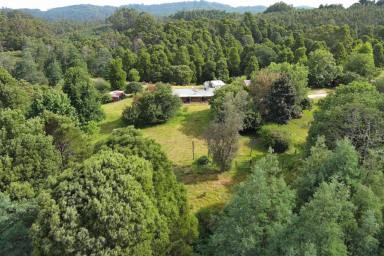Mixed Farming For Sale - VIC - Grand Ridge - 3870 - 390 acres, House, Pasture, Plantation, Deer, Ferns, Waterfalls...  (Image 2)