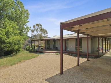 House For Sale - VIC - Omeo - 3898 - IMPRESSIVE HOME, IMPRESSIVE OUTLOOK  (Image 2)