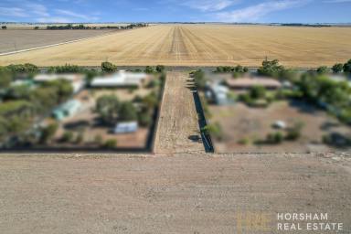 Residential Block For Sale - VIC - Horsham - 3400 - Prime 1625 m² Allotment in Horsham  (Image 2)