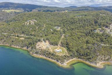 Residential Block For Sale - TAS - Brooks Bay - 7116 - Private Bushland Retreat with Water Views  (Image 2)
