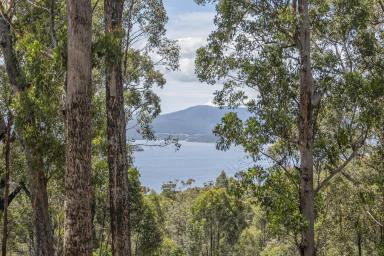 Residential Block For Sale - TAS - Brooks Bay - 7116 - Private Bushland Retreat with Water Views  (Image 2)