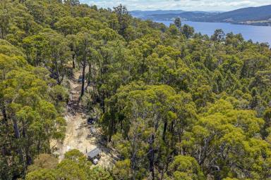 Residential Block For Sale - TAS - Brooks Bay - 7116 - Private Bushland Retreat with Water Views  (Image 2)