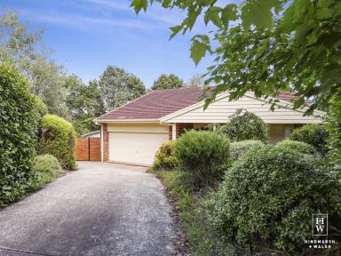 House For Sale - NSW - Moss Vale - 2577 - Artist's Paradise Living In The Treetops  (Image 2)