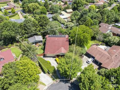 House For Sale - NSW - Moss Vale - 2577 - Expect The Unexpected!  (Image 2)